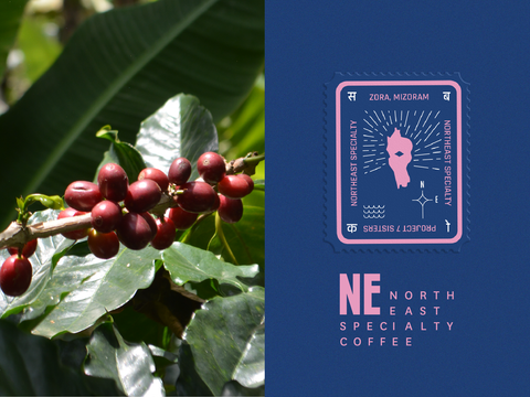 Project Seven Sisters: North East Specialty Coffee